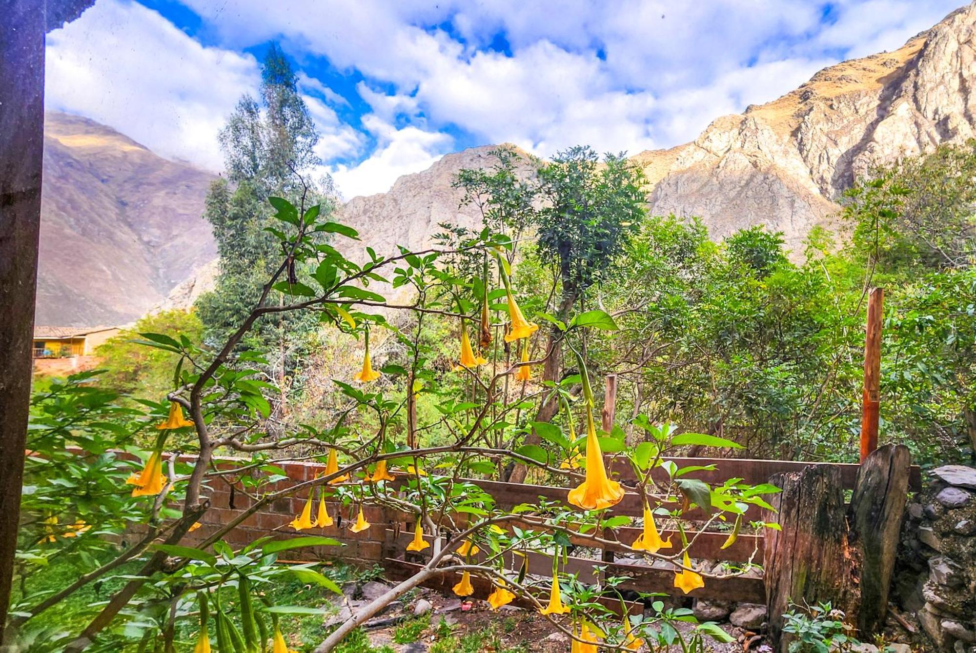 Peru Quechua'S Lodge Ollantaytambo Εξωτερικό φωτογραφία